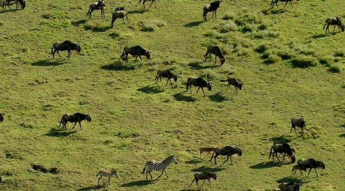 快节奏时差诡计